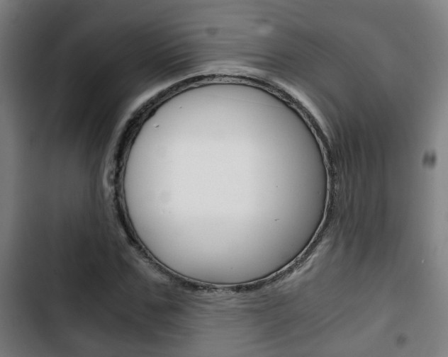 X0000103220971200808280922