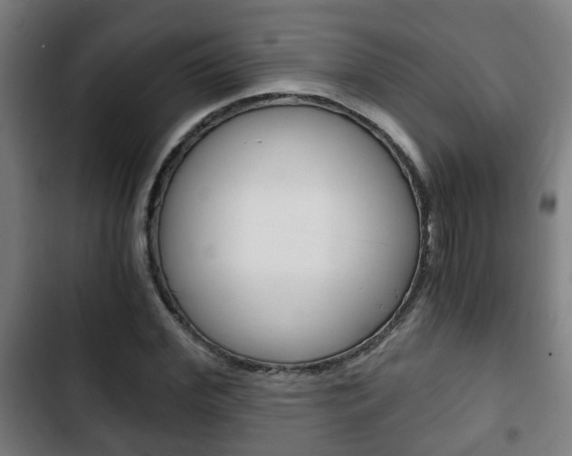 X0000103220972200808280922
