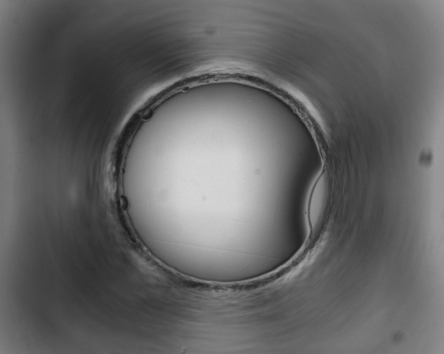 X0000103220973200808280922