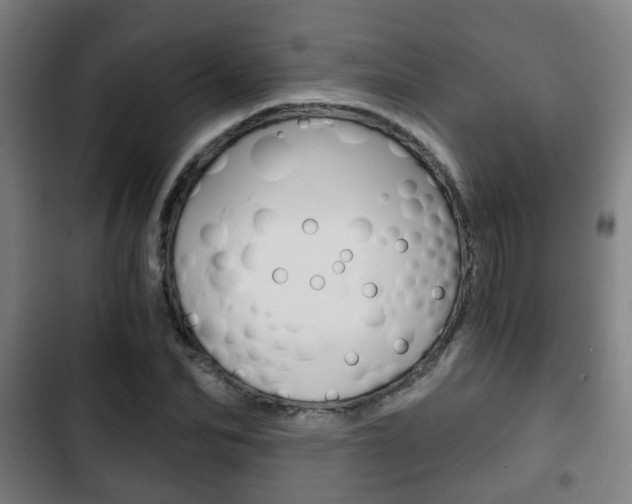 X0000103220974200808280922