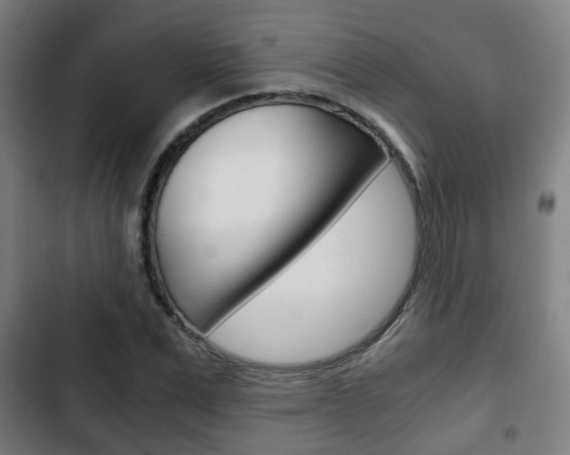 X0000103220975200808280922