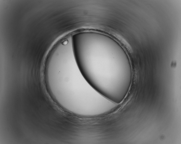 X0000103220976200808280922