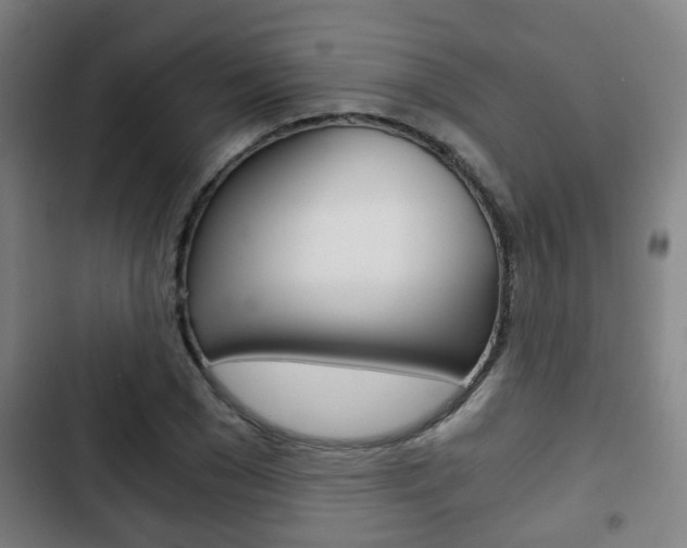 X0000103220977200808280922