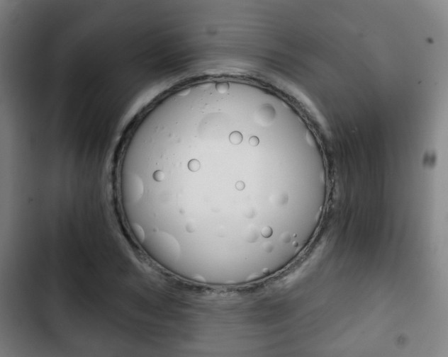 X0000103220978200808280922