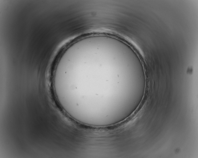X0000103220979200808280922