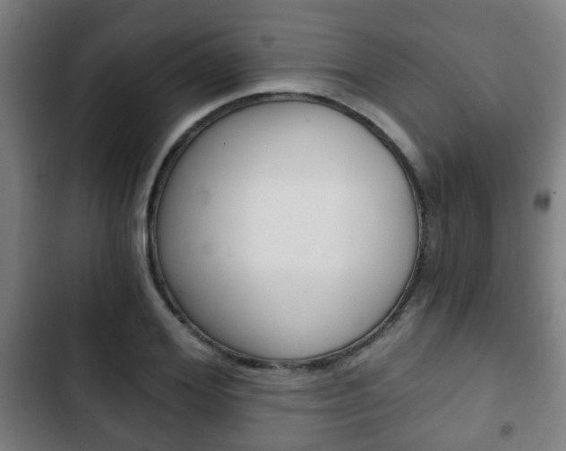 X0000103220980200808280922