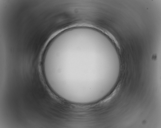X0000103220981200808280922