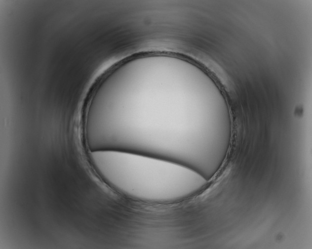 X0000103220982200808280922