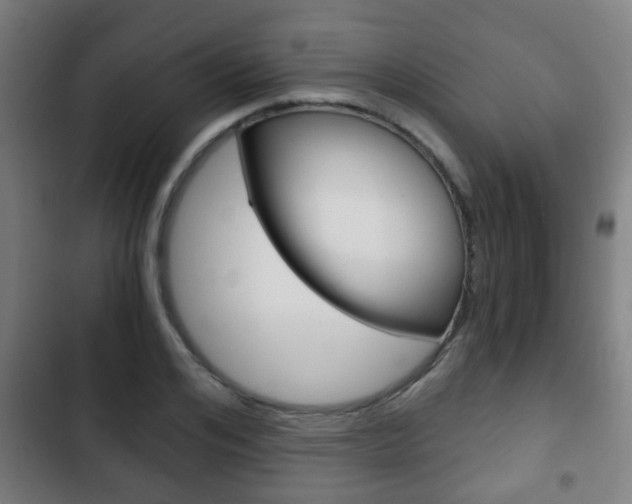 X0000103220984200808280922