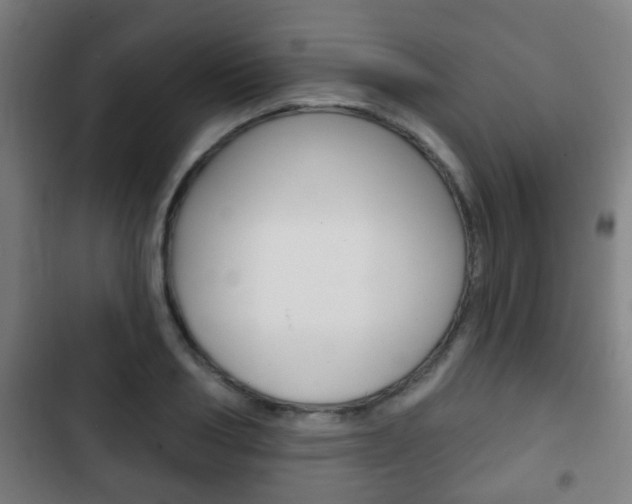 X0000103220986200808280922