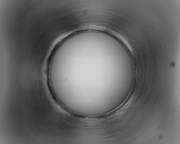 X0000103220987200808280922