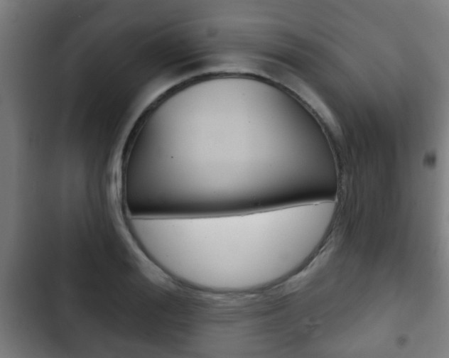X0000103220988200808280922
