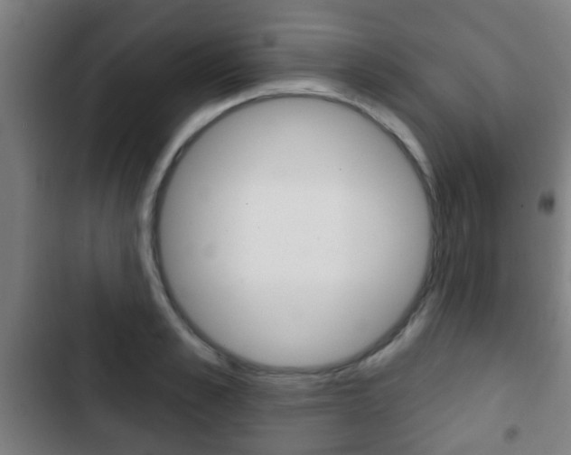 X0000103220989200808280922