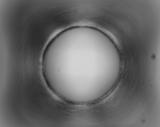 X0000103220990200808280922