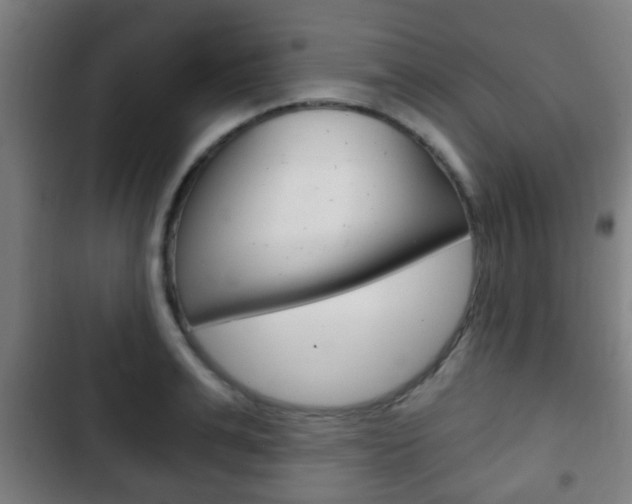 X0000103220991200808280922