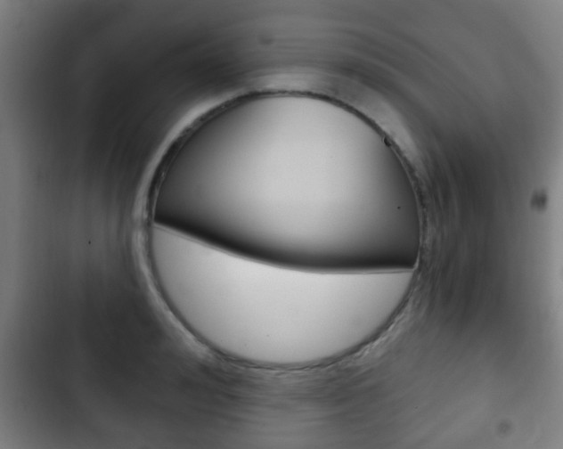 X0000103220992200808280922