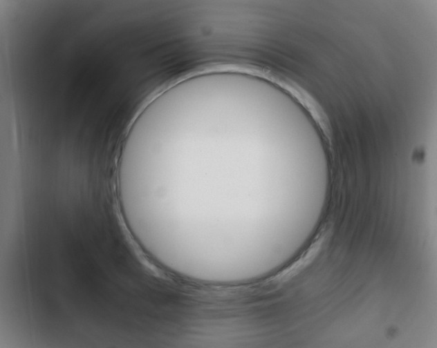 X0000103220993200808280922