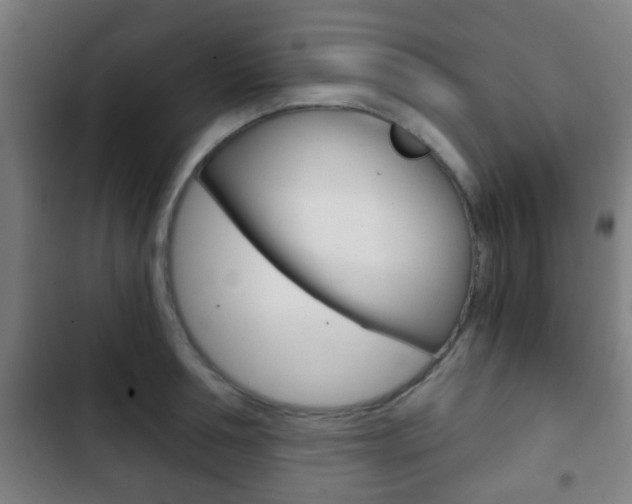 X0000103220994200808280922
