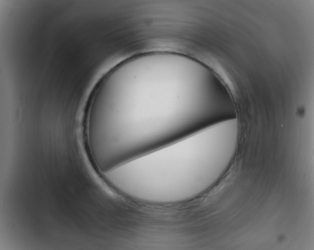 X0000103220995200808280922