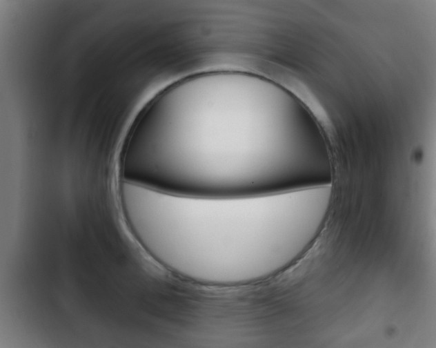 X0000103220996200808280922
