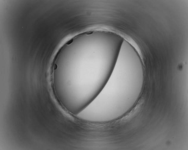 X0000103220997200808280922