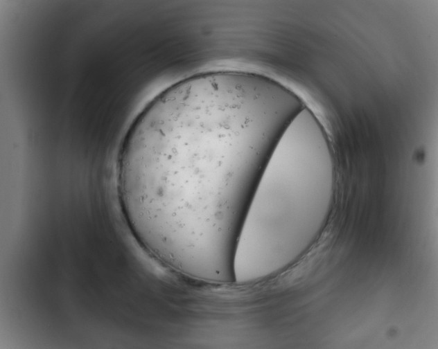 X0000103220998200808280922