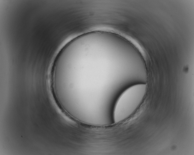 X0000103220999200808280922