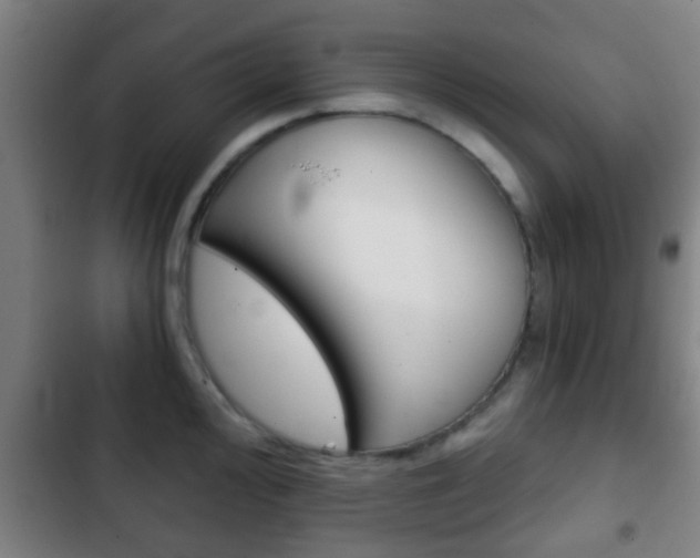 X0000103221000200808280922