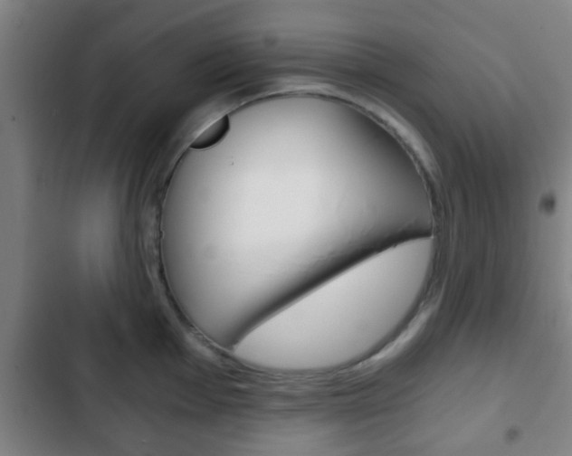 X0000103221001200808280922