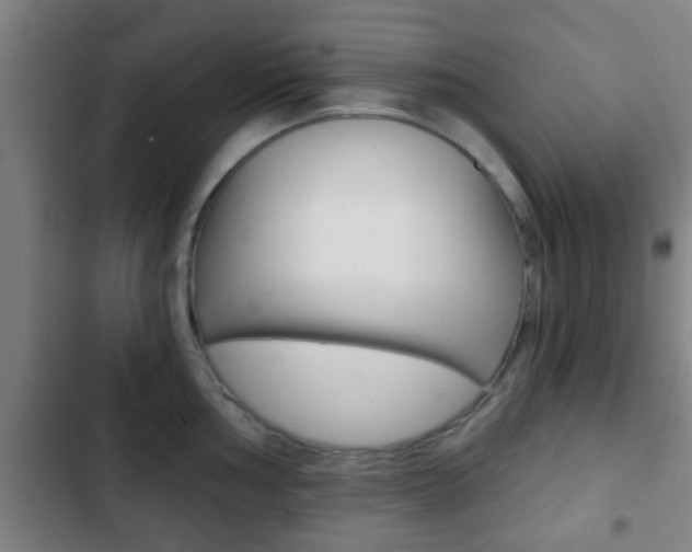 X0000103221002200808280922
