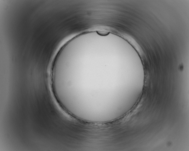 X0000103221003200808280922