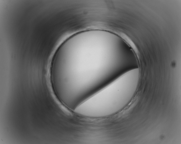 X0000103221005200808280921