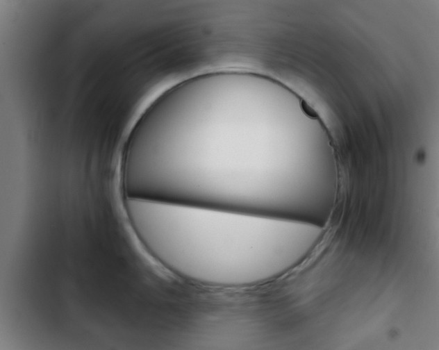 X0000103221006200808280921