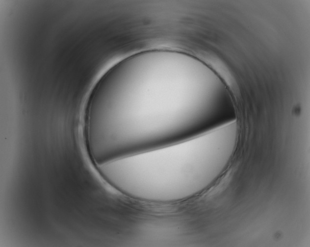 X0000103221007200808280921