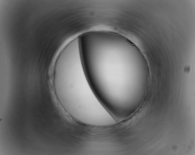 X0000103221008200808280921