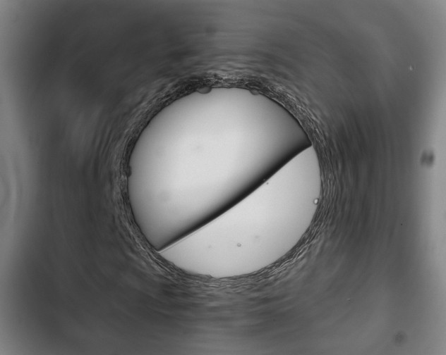 X0000103221009200808280921