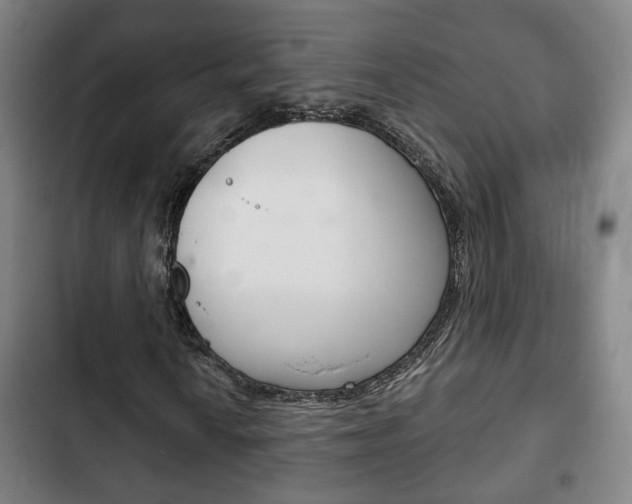 X0000103221010200808280921