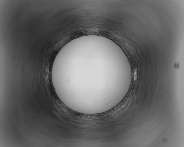X0000103221011200808280921