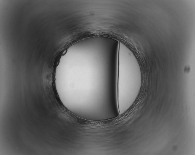 X0000103221012200808280921