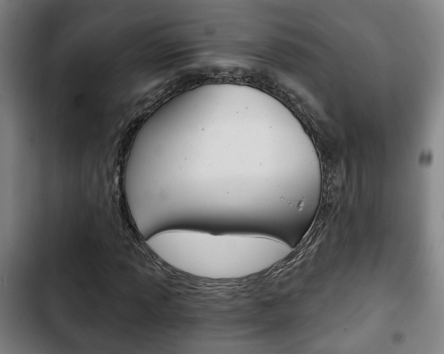 X0000103221013200808280921