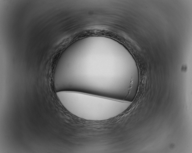 X0000103221014200808280921