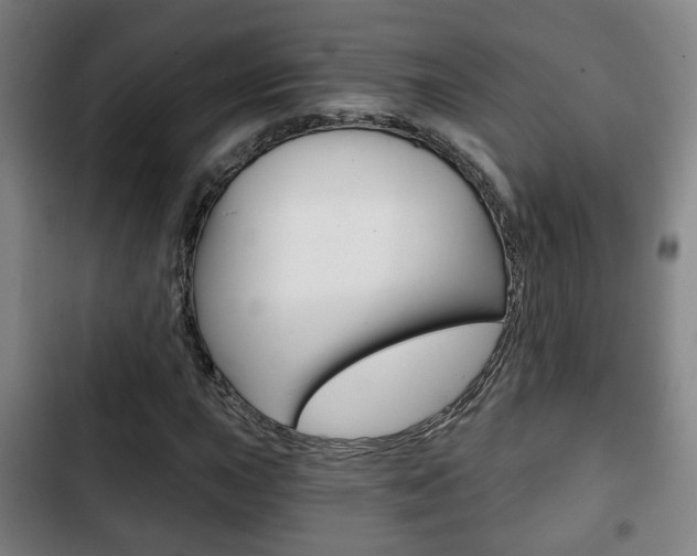 X0000103221015200808280921