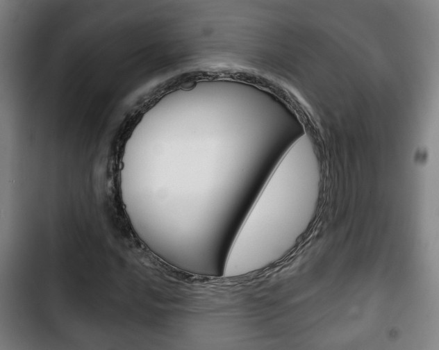 X0000103221016200808280921