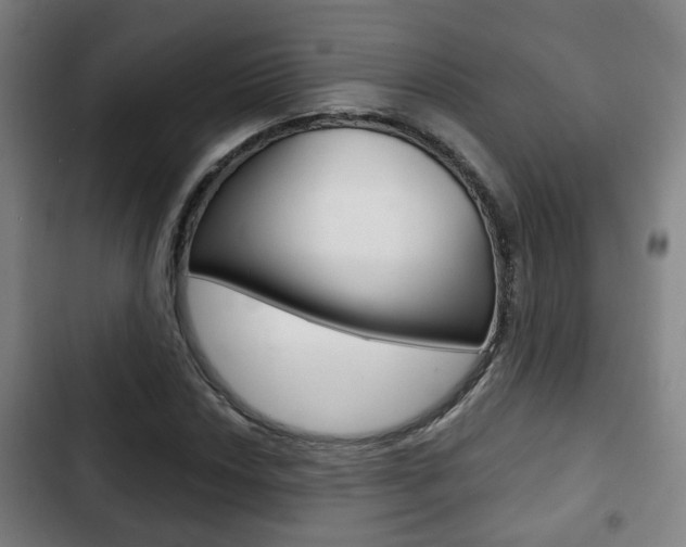 X0000103221018200808280921