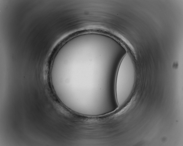 X0000103221021200808280921