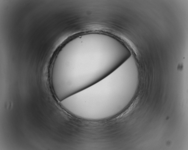 X0000103221023200808280921