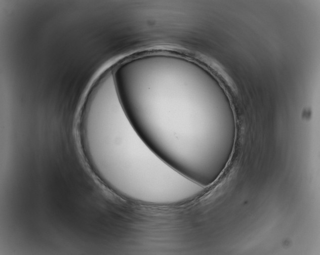 X0000103221024200808280921