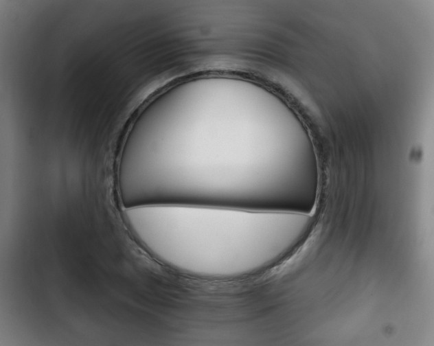 X0000103221025200808280921