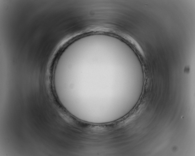 X0000103221027200808280921