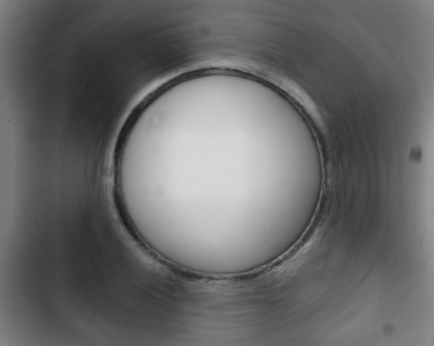 X0000103221028200808280921